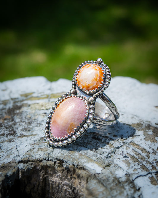 Cone and Cowrie Ring