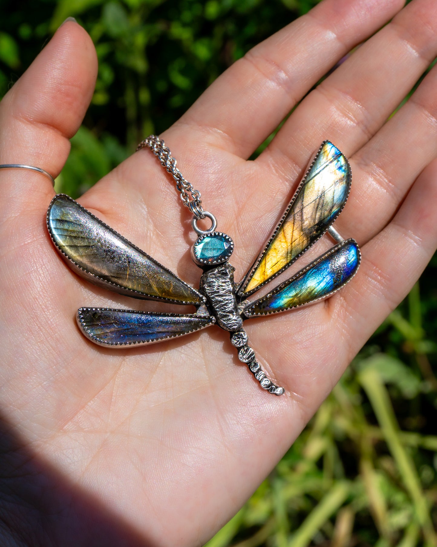 Sunlit Wings