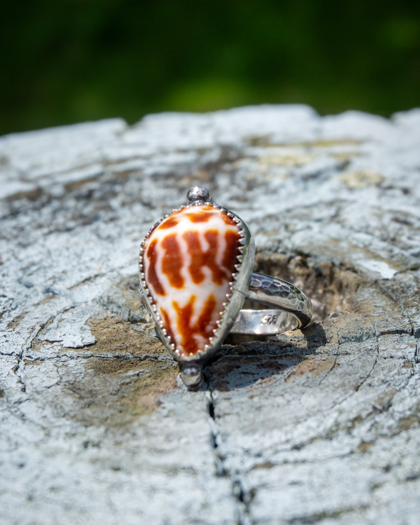 Hebrew Cone Shell Ring