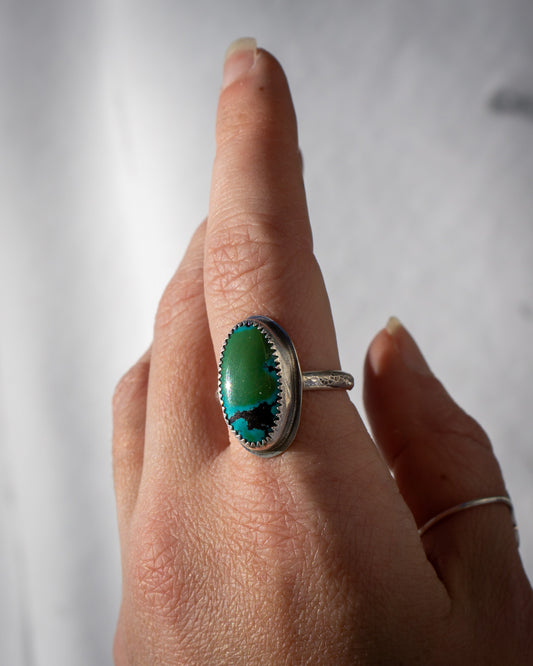 Turquoise Ring 8