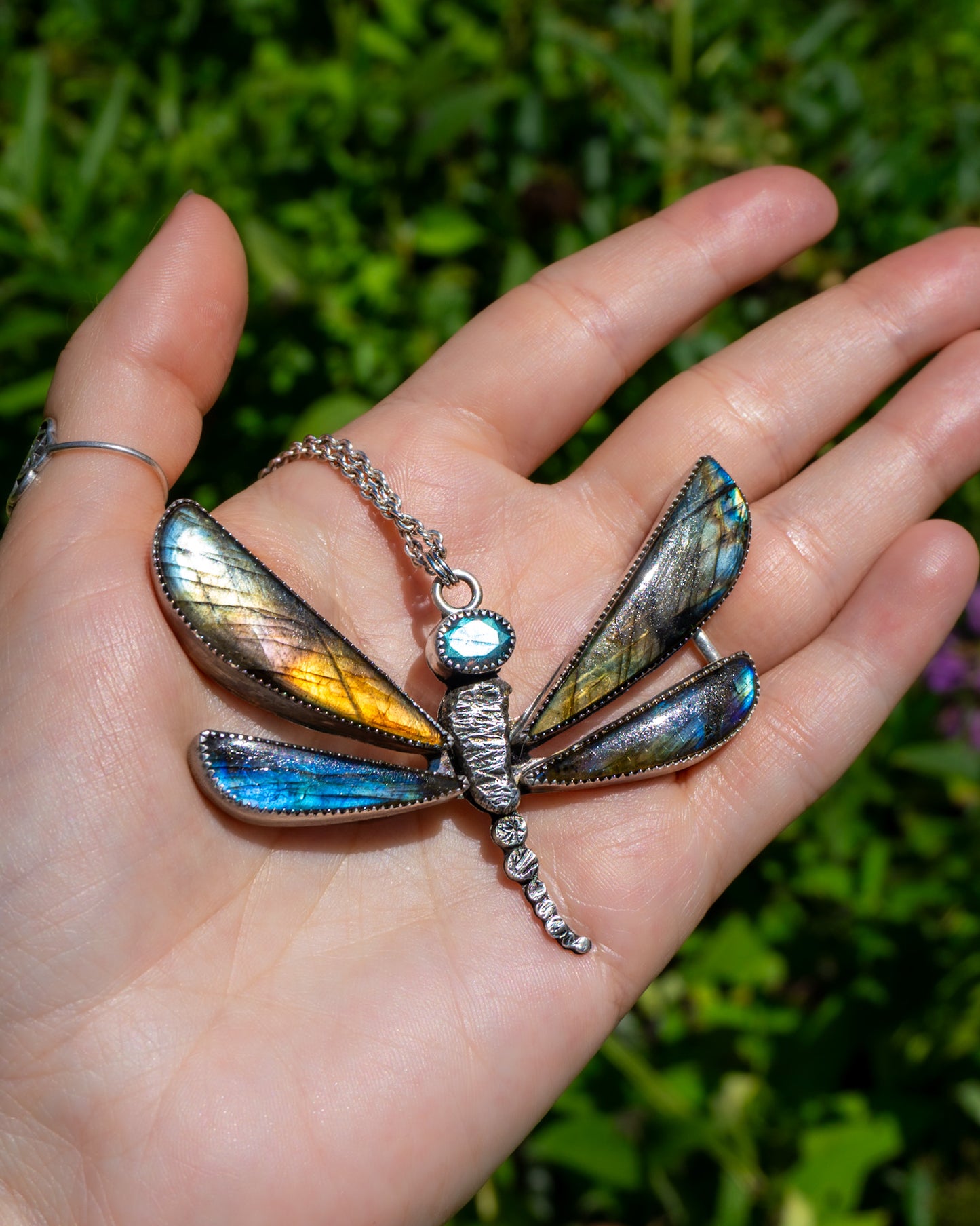 Sunlit Wings